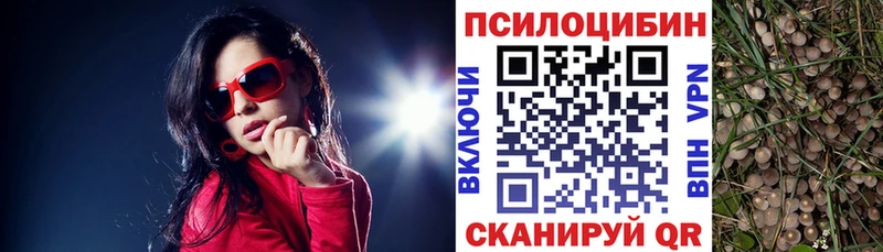 Купить закладки  Свободный  Галлюциногенные грибы ЛСД 