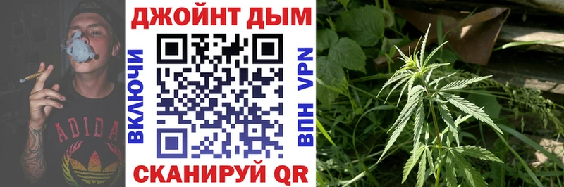Купить закладки  Свободный  Шишки марихуана Amnesia 